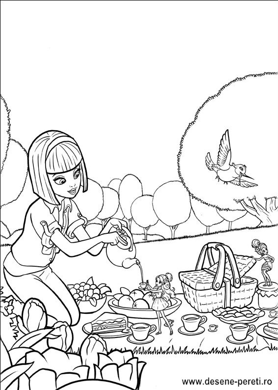 barbie zana padurii desene colorat
